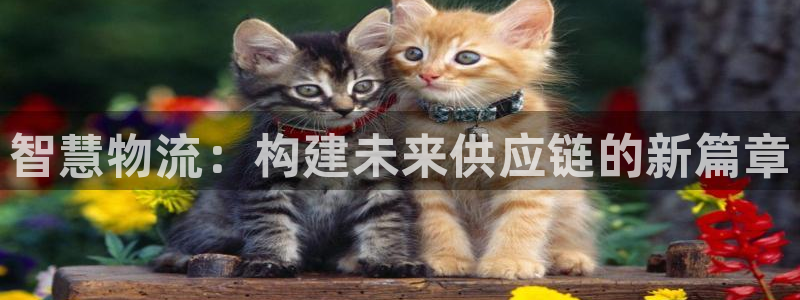 28圈昵称