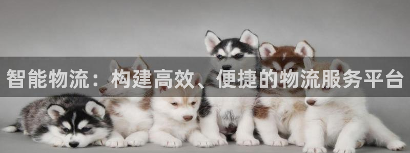 28圈下载不了