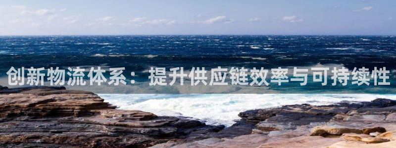 28圈pc预测：创新物流体系：提升供