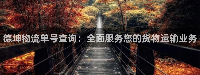 28圈注册官网：德坤物流单号查询：全