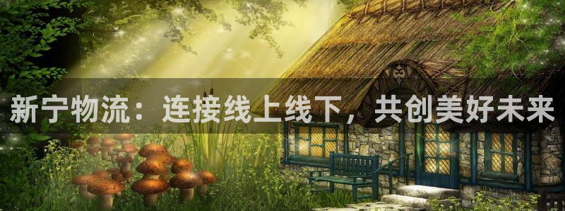 28圈注册链接入口：新宁物流：连接线
