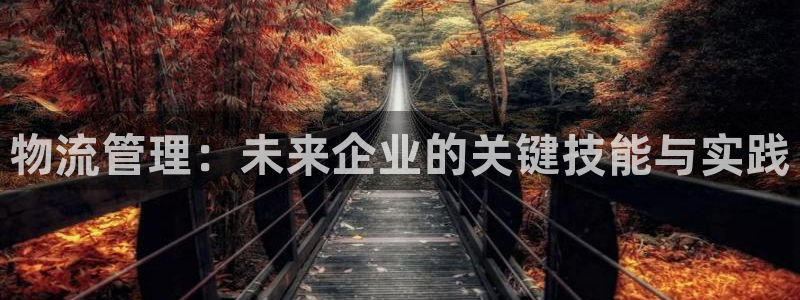 28圈.ccmpcios