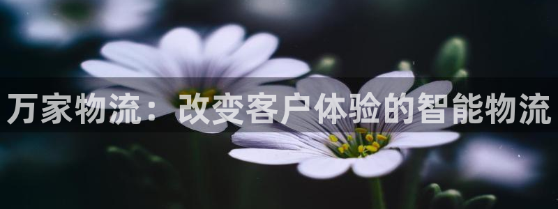 28圈模拟器下载：万家物流：改变客户
