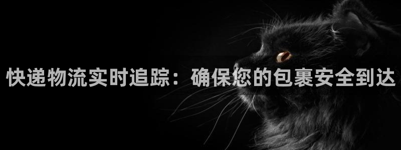 28圈代理落网：快递物流实时追踪：确