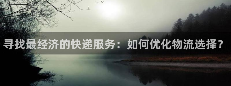 28圈稳吗：寻找最经济的快递服务：如