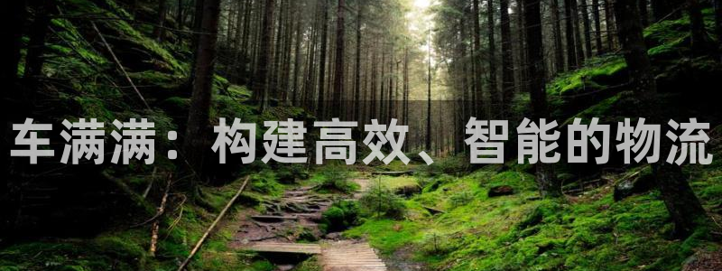 28圈注册登录链接：车满满：构建高效