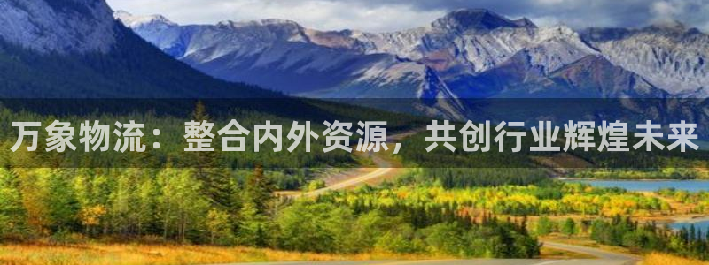 28圈充值金额随便：万象物流：整合内