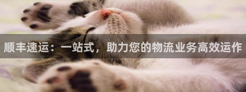 28圈.ccmpcios：顺丰速运：