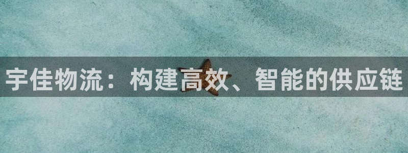 28圈退款教程：宇佳物流：构建高效、