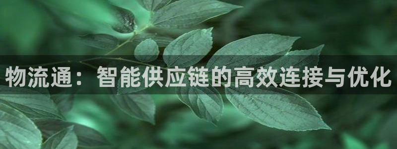 28圈代理落网：物流通：智能供应链的