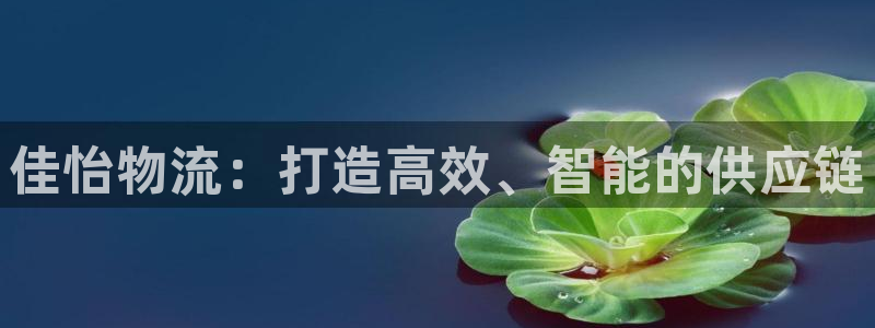 28圈口戒指是多大：佳怡物流：打造高