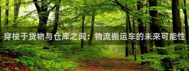 28圈怎么下载不了：穿梭于货物与仓库