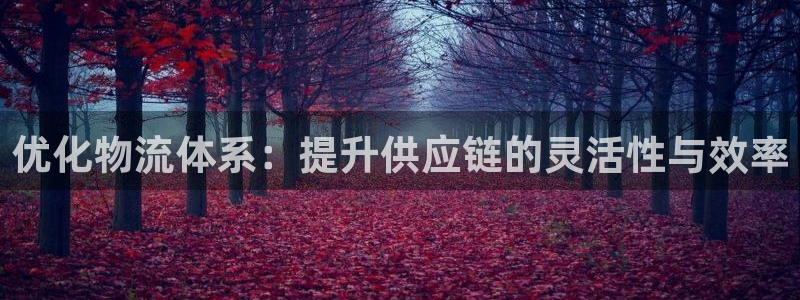 28圈防失联网址：优化物流体系：提升
