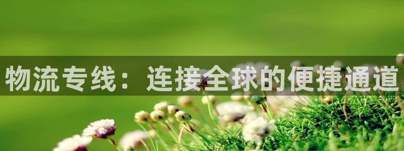 28圈app注册地址：物流专线：连接