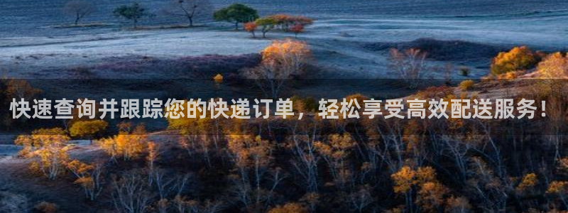28圈p图上分下款通道：快速查询并跟