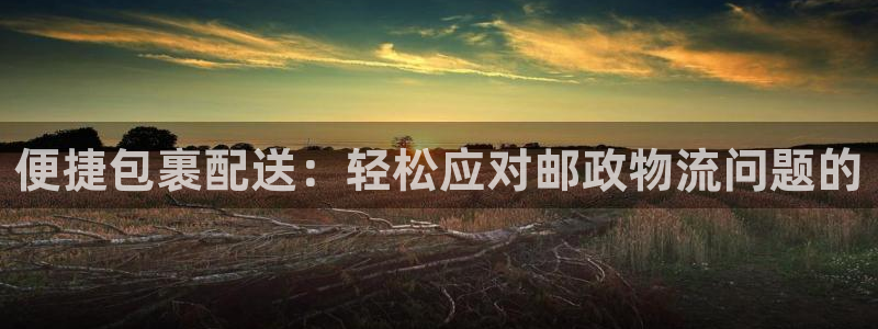 28圈官网预测：便捷包裹配送：轻松应
