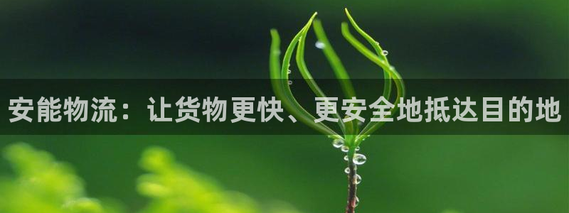 28圈官方网站是多少：安能物流：让货