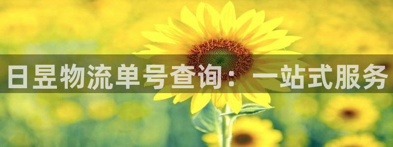28圈自行车图片大全：日昱物流单号查