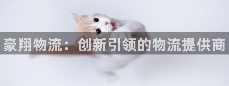 28圈游戏最新版：豪翔物流：创新引领