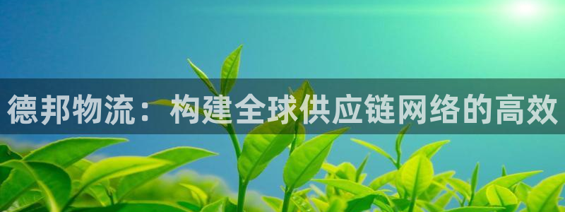 28圈登录不上咋回事：德邦物流：构建