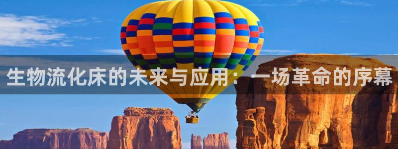 28圈官网链接：生物流化床的未来与应