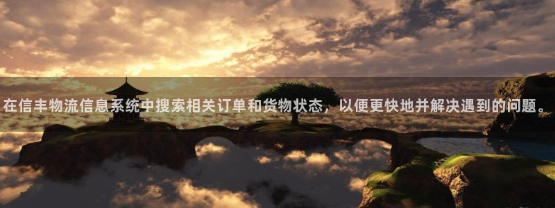 28圈预测网