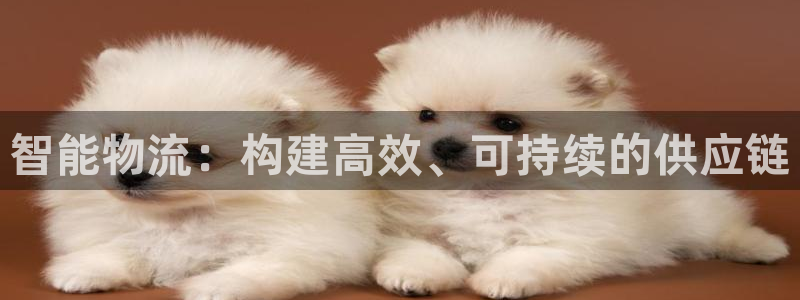 28圈和南宫28什么关系：智能物流：构建高效、可持续的供应链