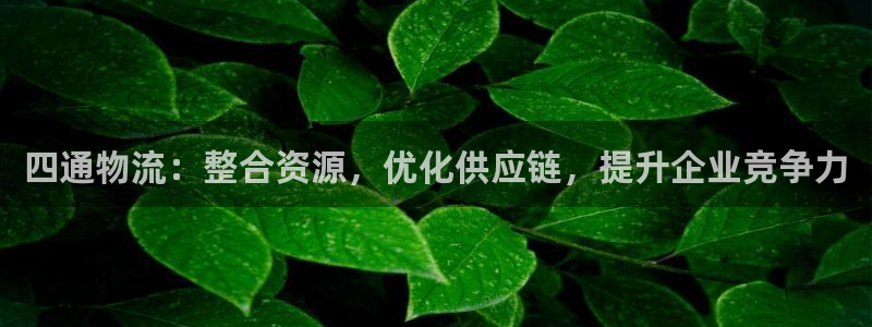 28圈加拿大怎么玩：四通物流：整合资