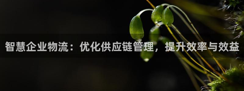 28圈吧：智慧企业物流：优化供应链管