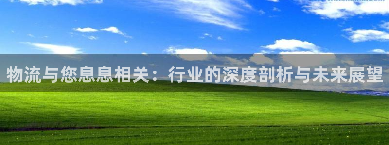 28圈登录网：物流与您息息相关：行业的深度剖析与未来展望