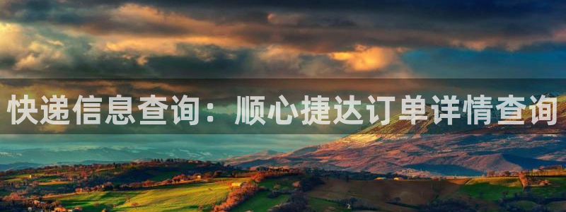 28圈推广链接是多少个：快递信息查询