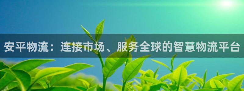28圈注册网站谁有：安平物流：连接市