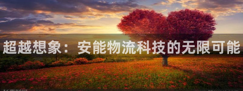 28圈平台注册：超越想象：安能物流科