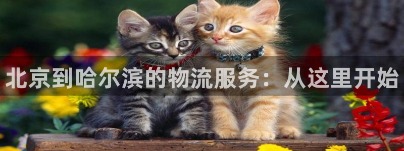 28圈为什么打不开