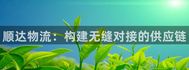 28圈注册网站链接是什么：顺达物流：