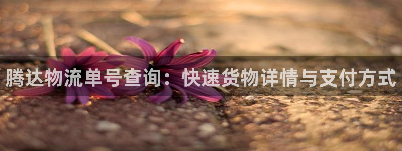 28圈pg麻将胡了：腾达物流单号查询